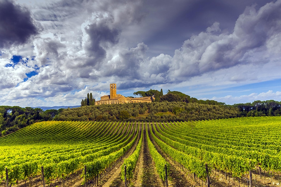 tuscan vineyards