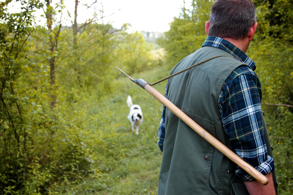 Truffle Hunting