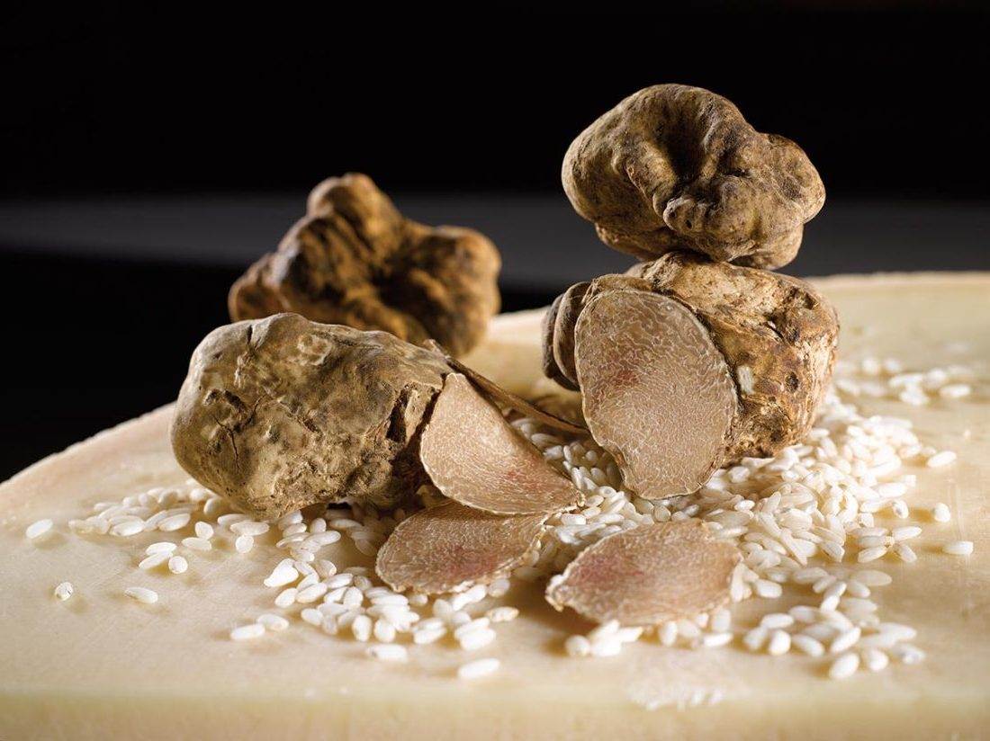 rosso white truffle e
