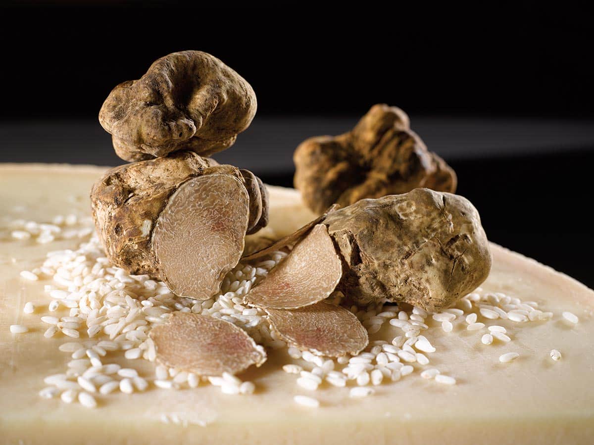 rosso white truffle