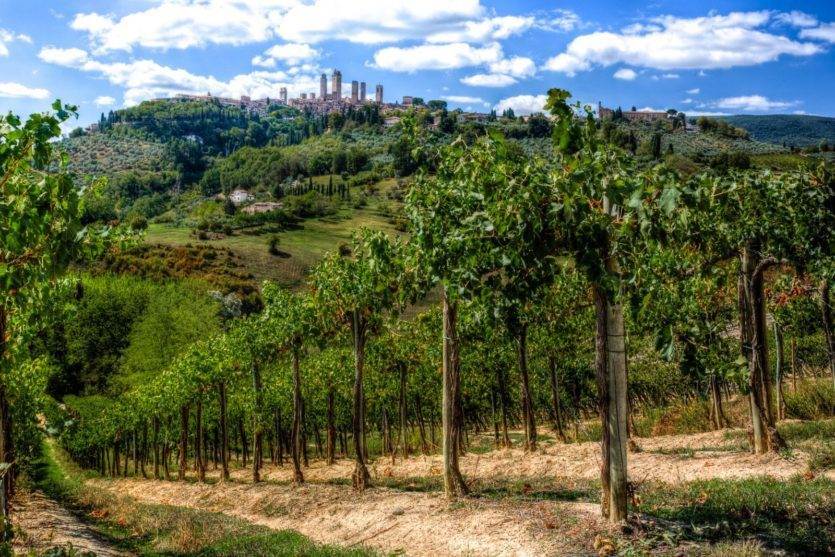 Vigneti Sangimignano e