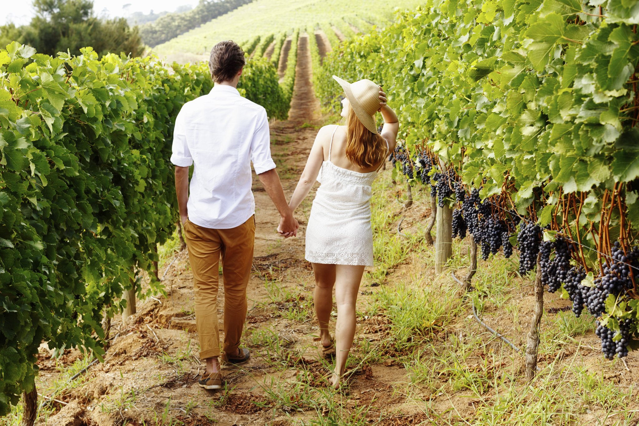 Summer in Tuscany
