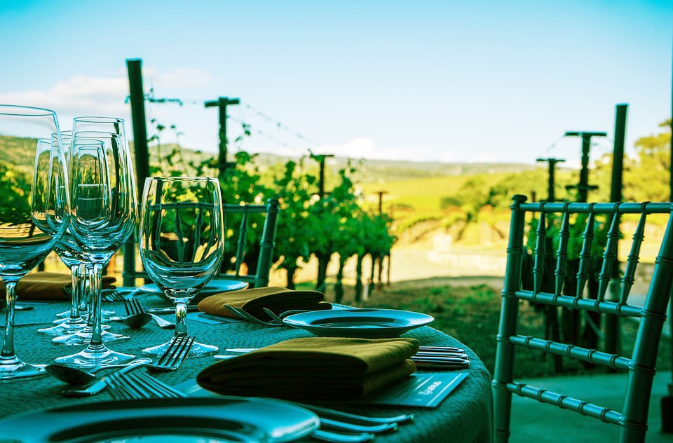 lunch vineyard