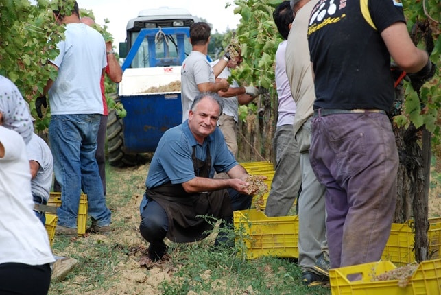 Pierluigi at Tenuta Torciano