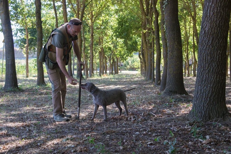 Tartufo raccolto durante la caccia