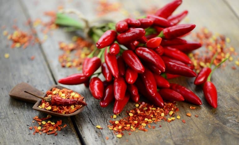 Fresh chilli peppers