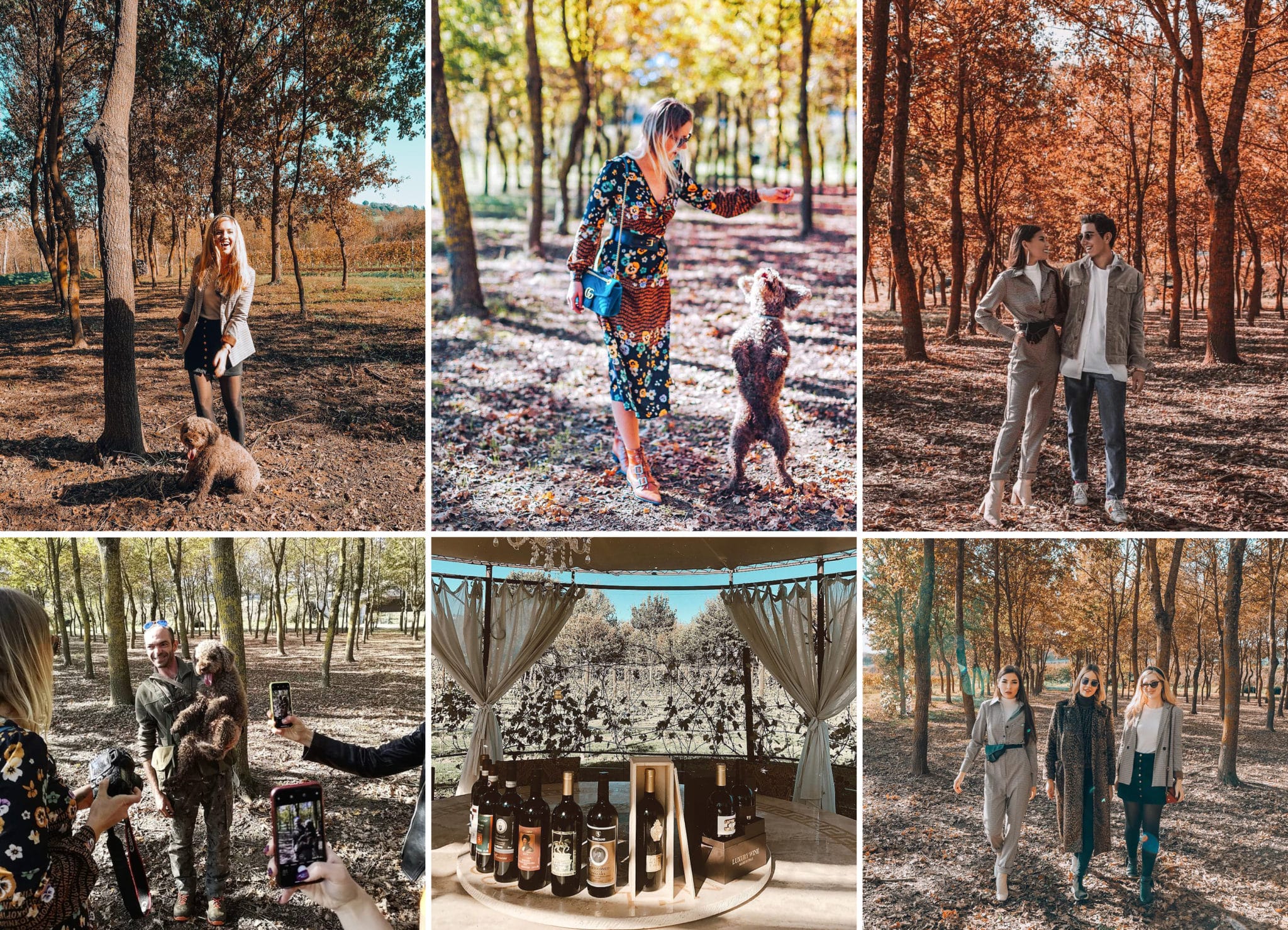 Blogger Week at Tenuta Torciano