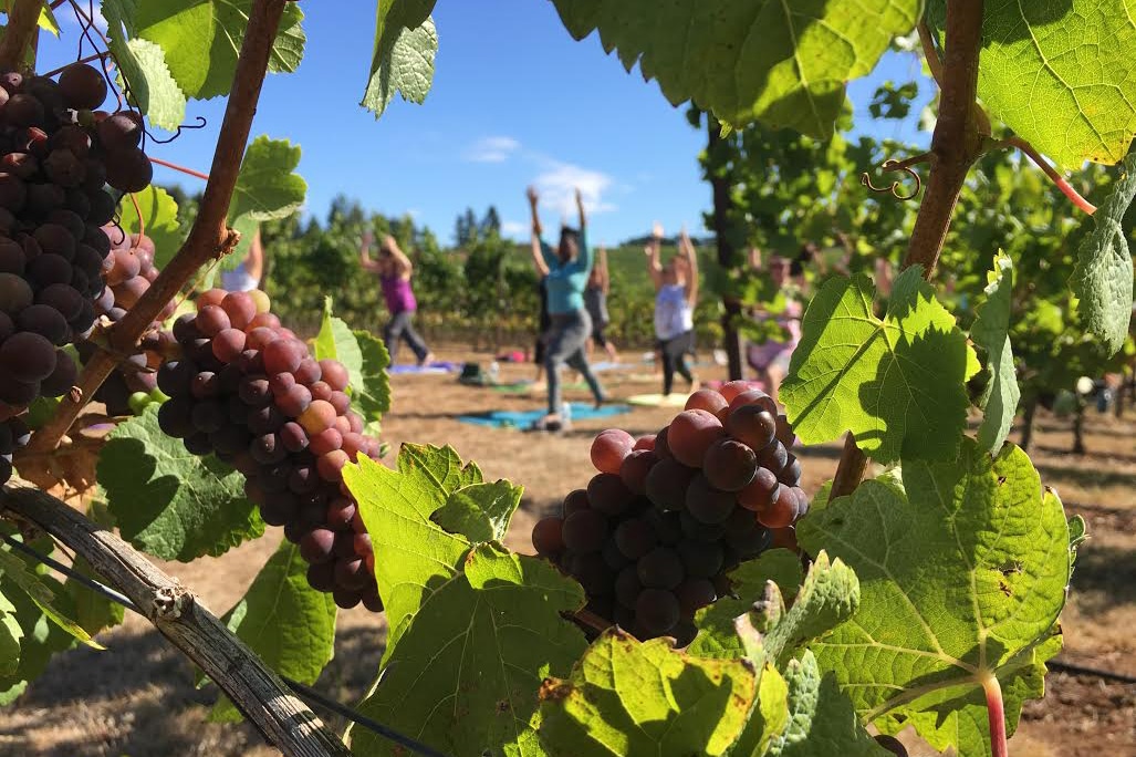 Lezione di yoga nei vigneti di Tenuta Torciano