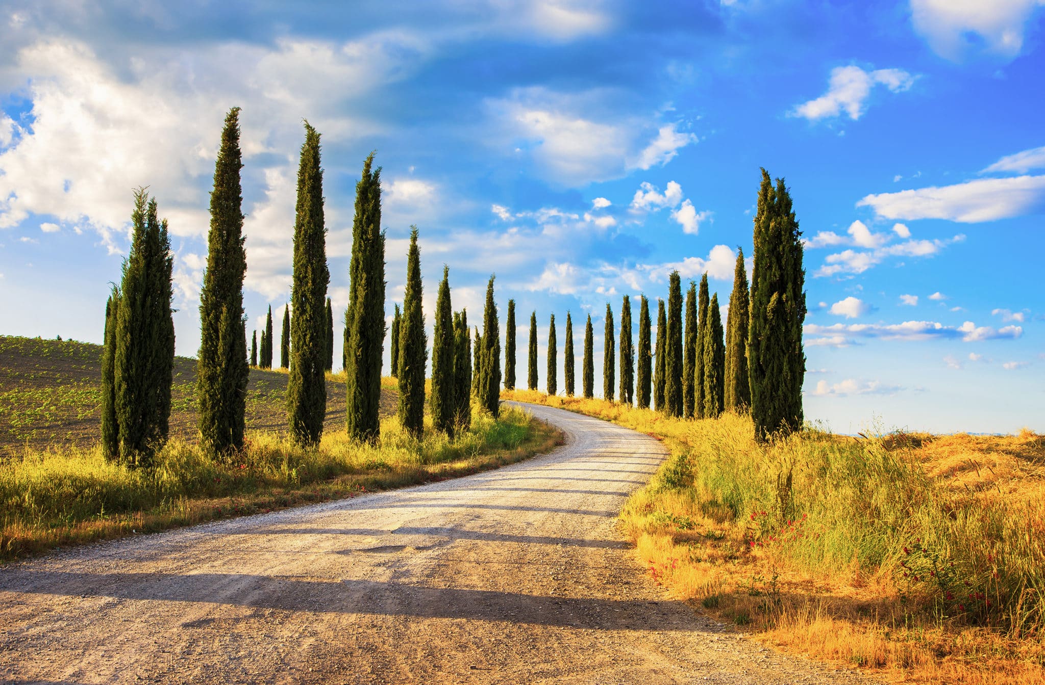 Val d'Orcia countryside in Tuscany