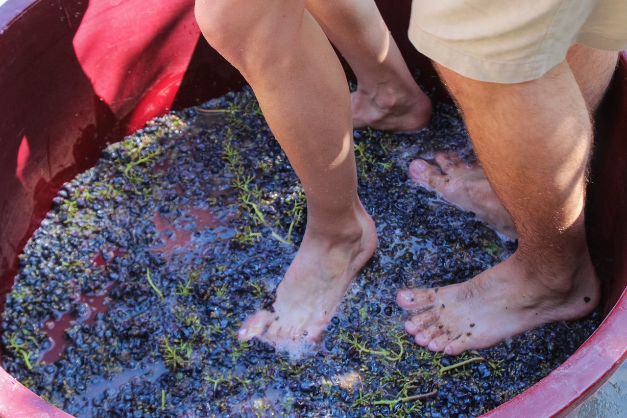 Harvest Experiential Travel