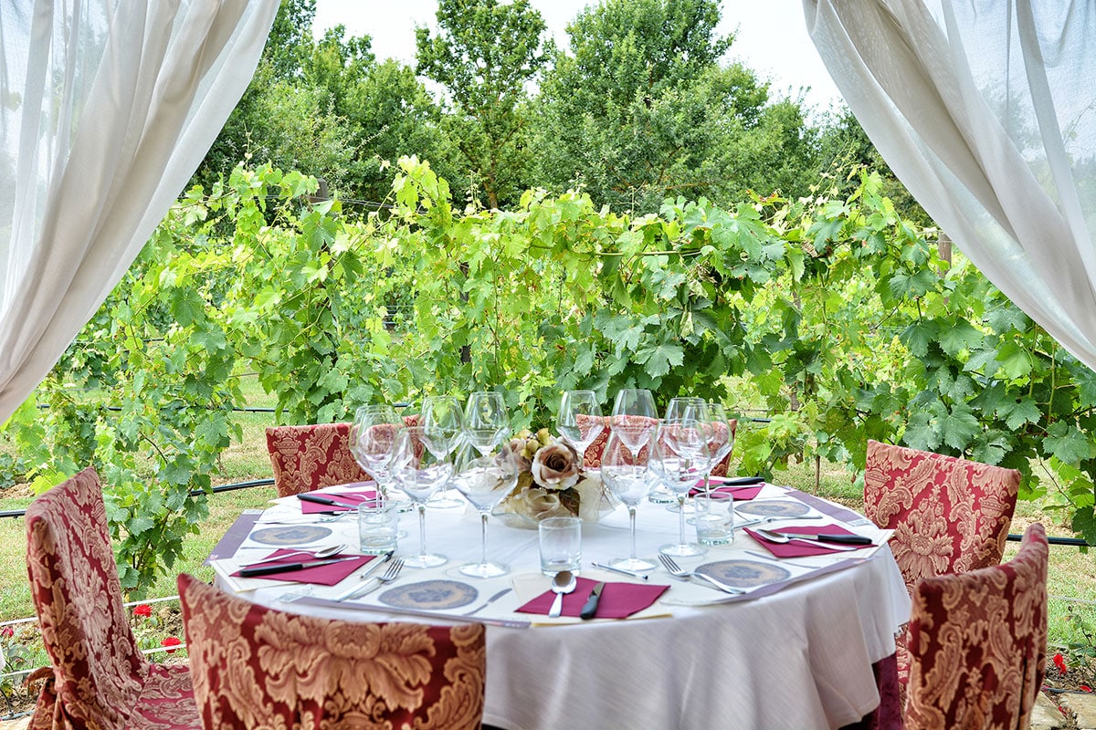 fruit field