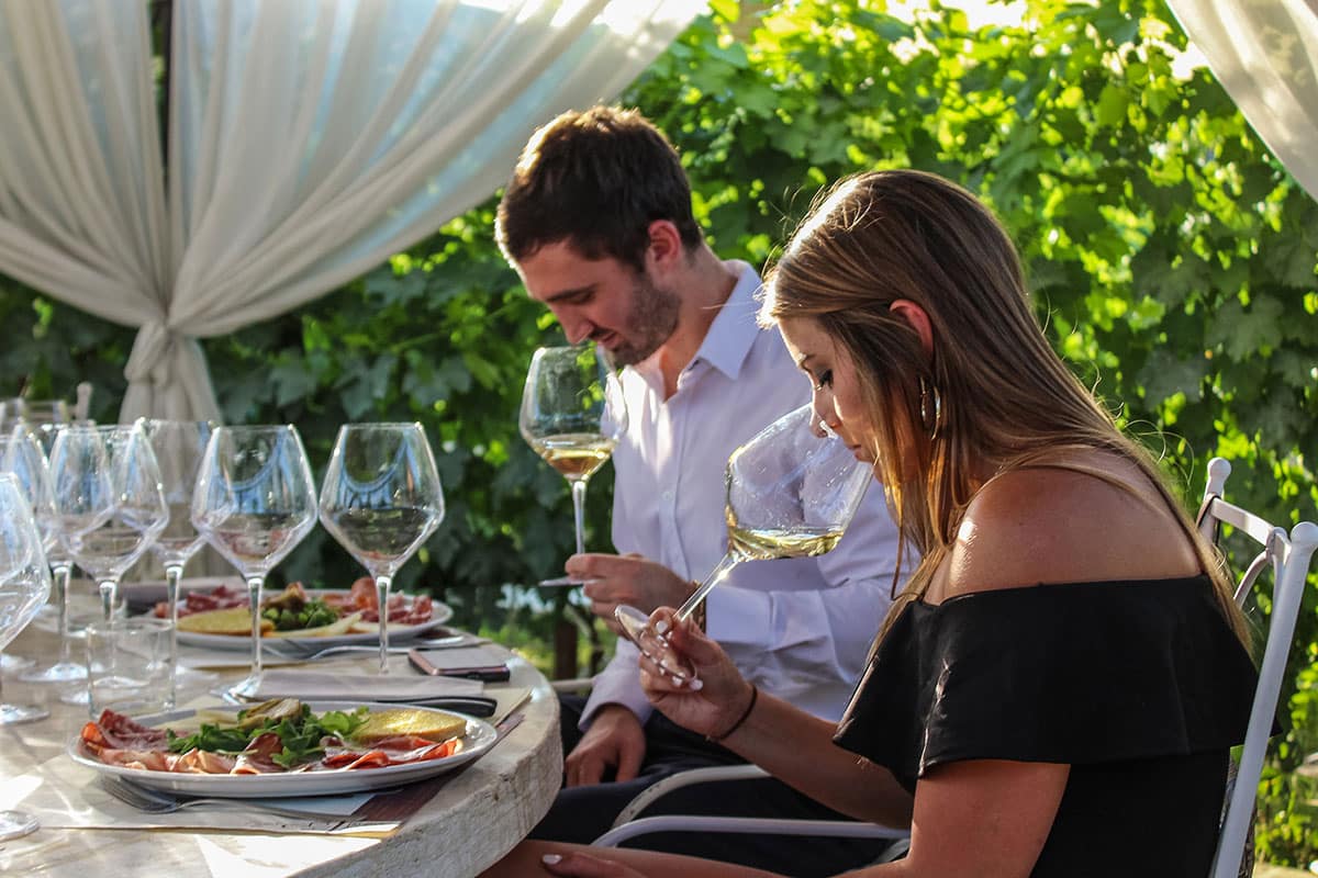 fruit field