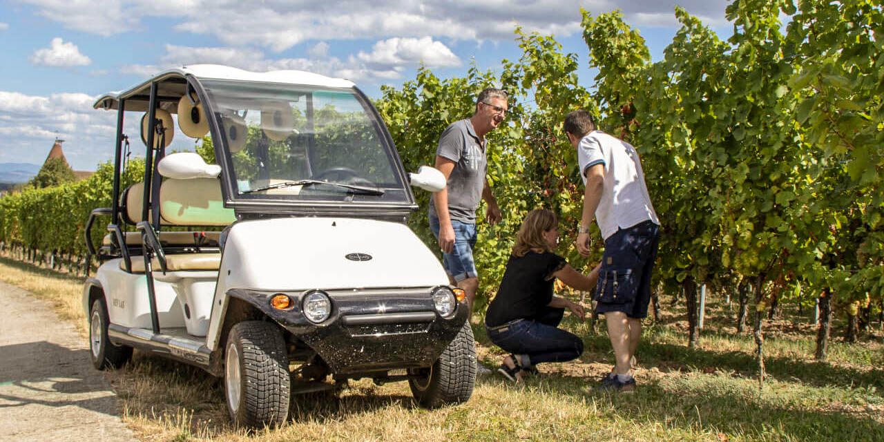 Vivi l'esperienza del vino a Tenuta Torciano