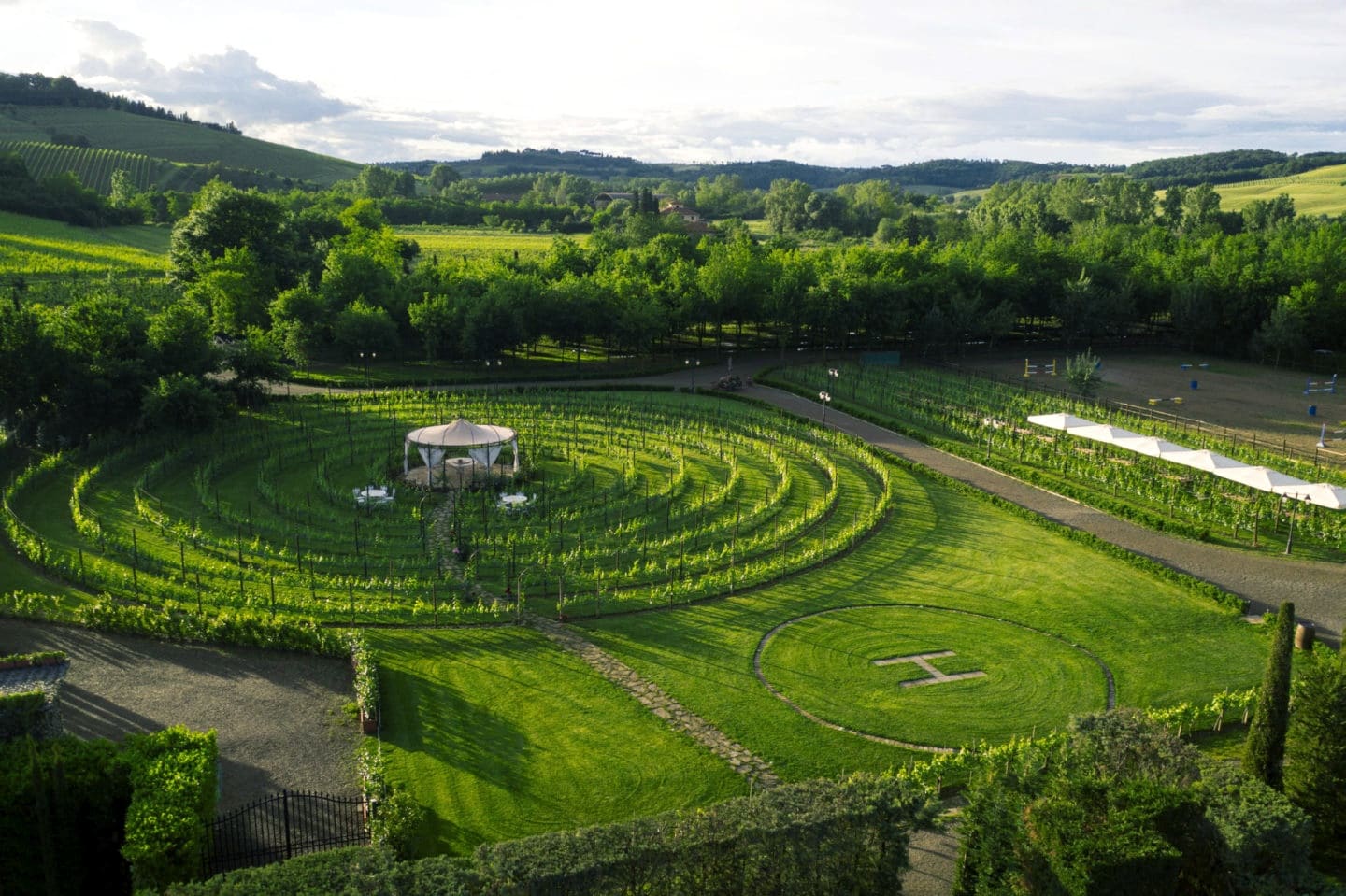 vernaccia