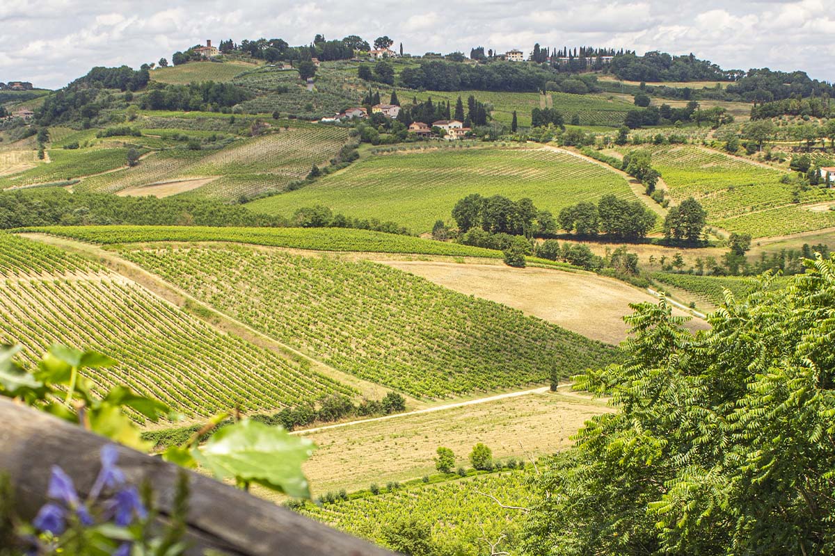 Hotel Torciano Vecchio Asilo nella campagna toscana