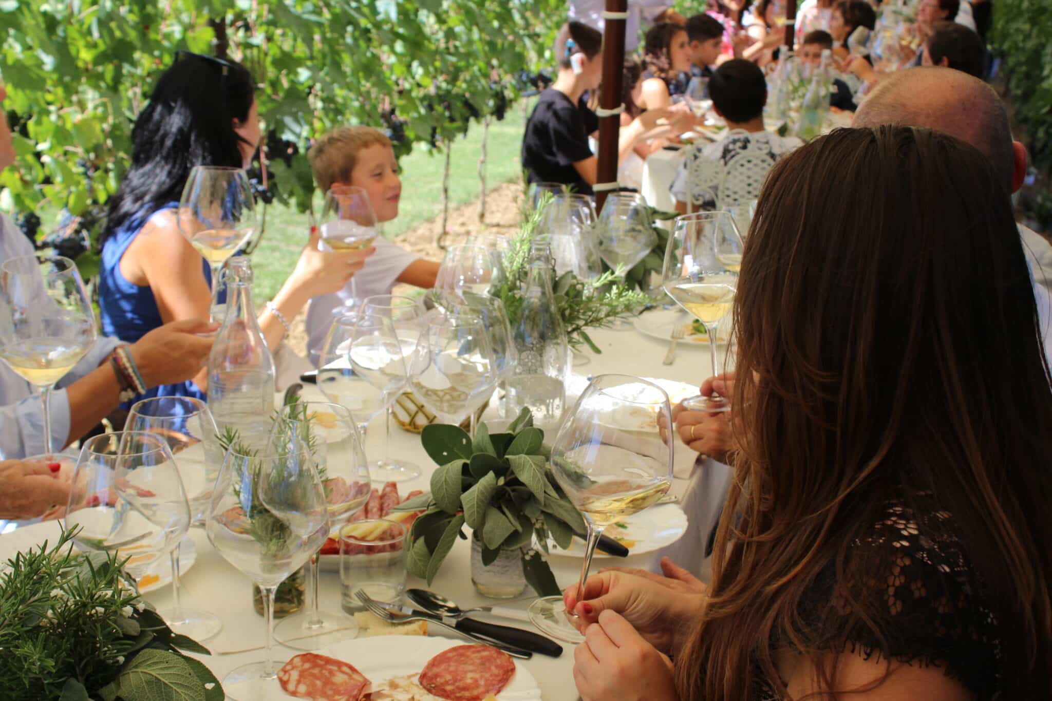 Wine tasting in the vineyard at Tenuta Torciano