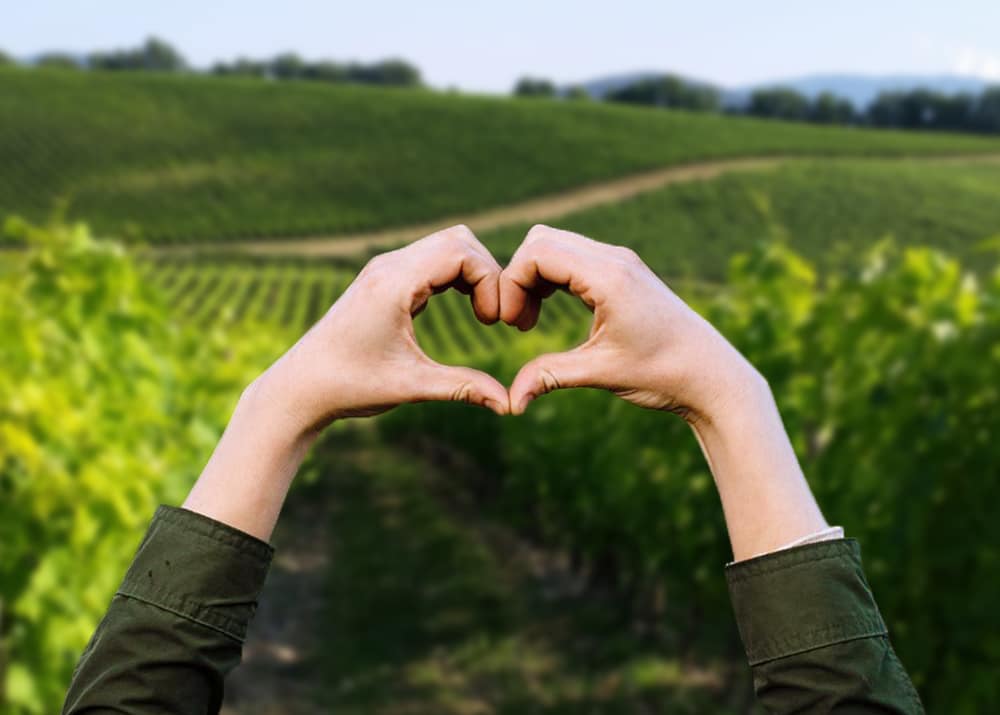 Thankful Tenuta Torciano