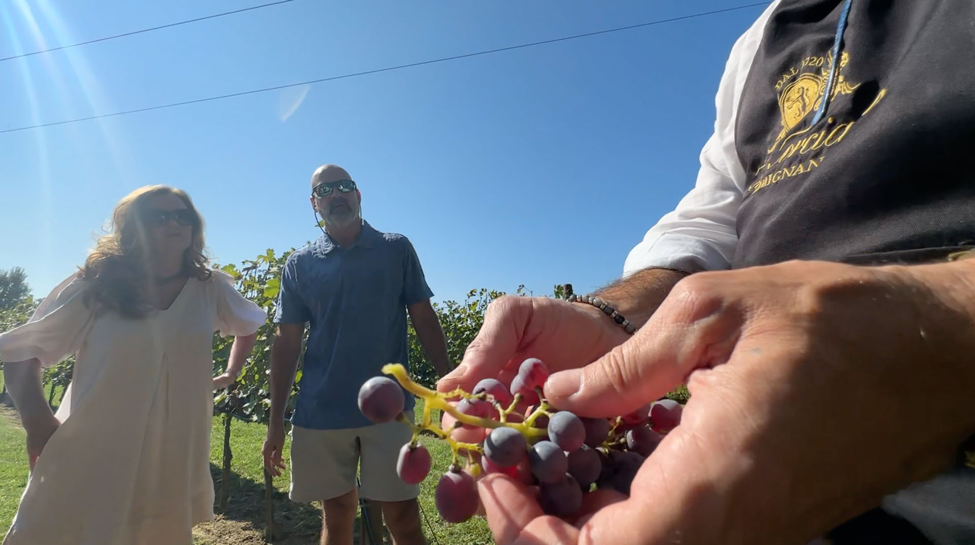 The winemaker showing a cluster of grapes to guests in the vineyard