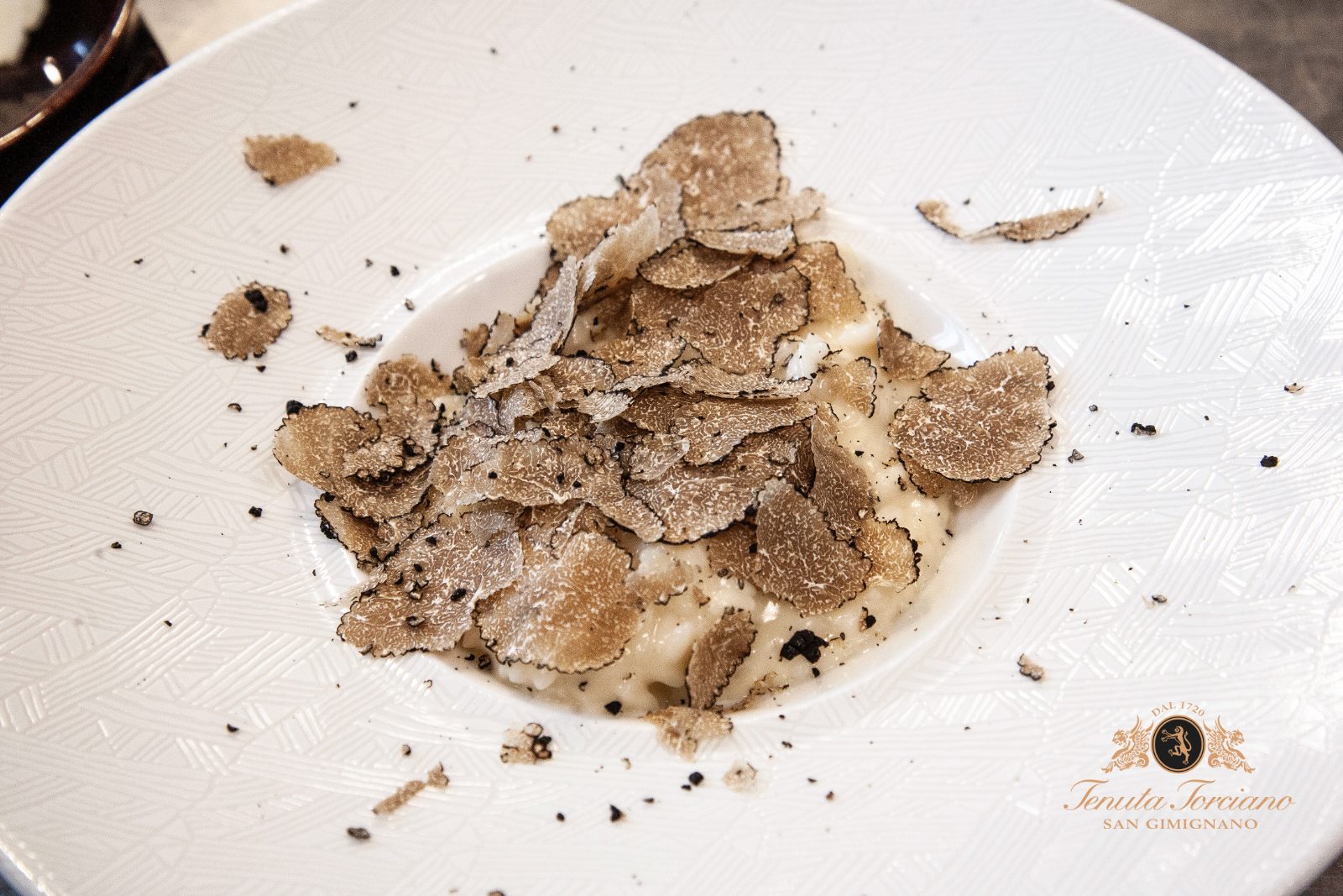 Tartufo fresco grattugiato sulle tagliatelle tirate a mano a Tenuta Torciano