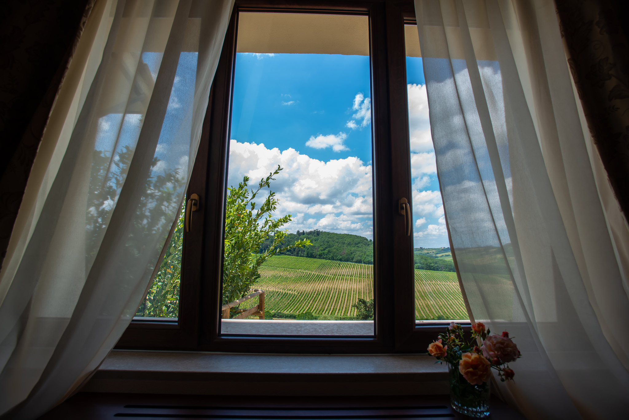 Finestra dell'hotel aperta sui filari di vigneto nella campagna di San Gimignano