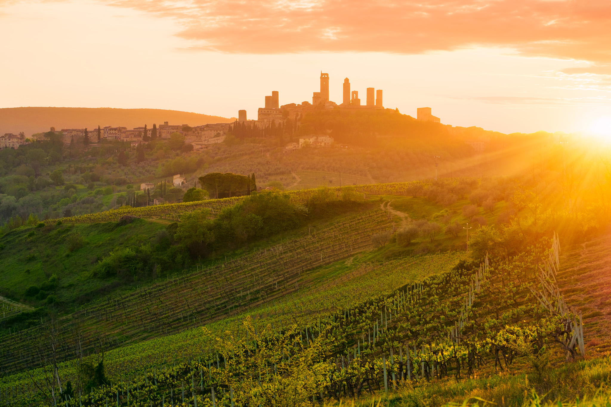 Le torri medievali di San Gimignano al tramonto, viste dai vigneti circostanti