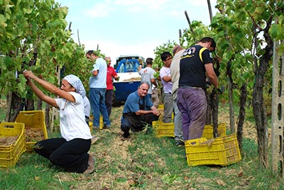 Great review of Torciano Winery. Thank you