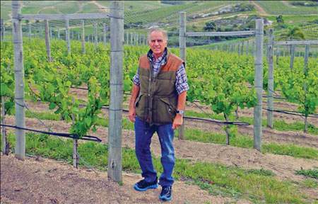 Alejandro Bulgheroni