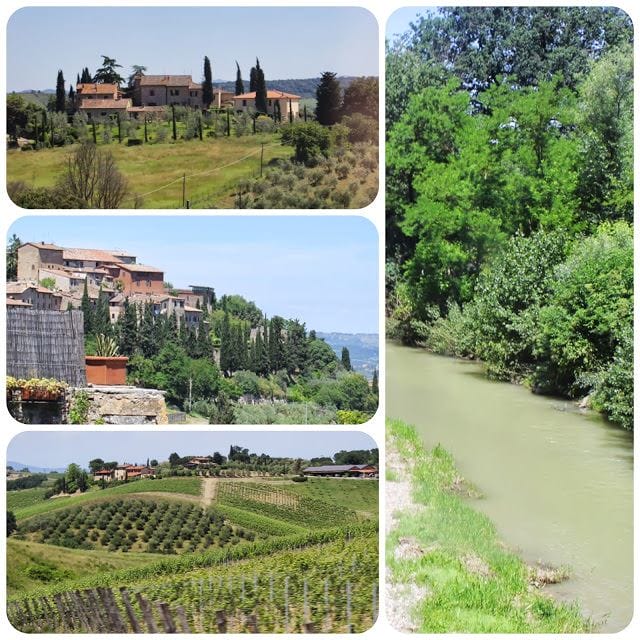torciano%winery