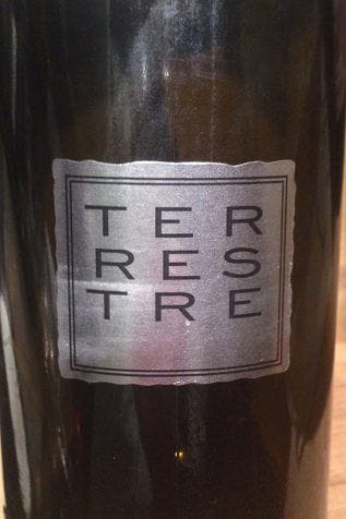 torciano wine