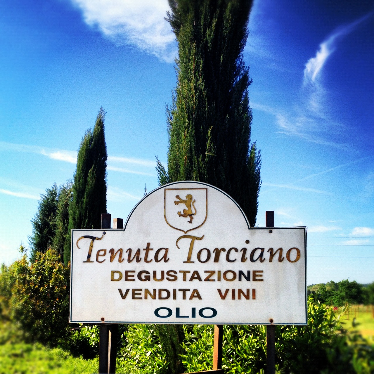 Wine tasting at Tenuta Torciano