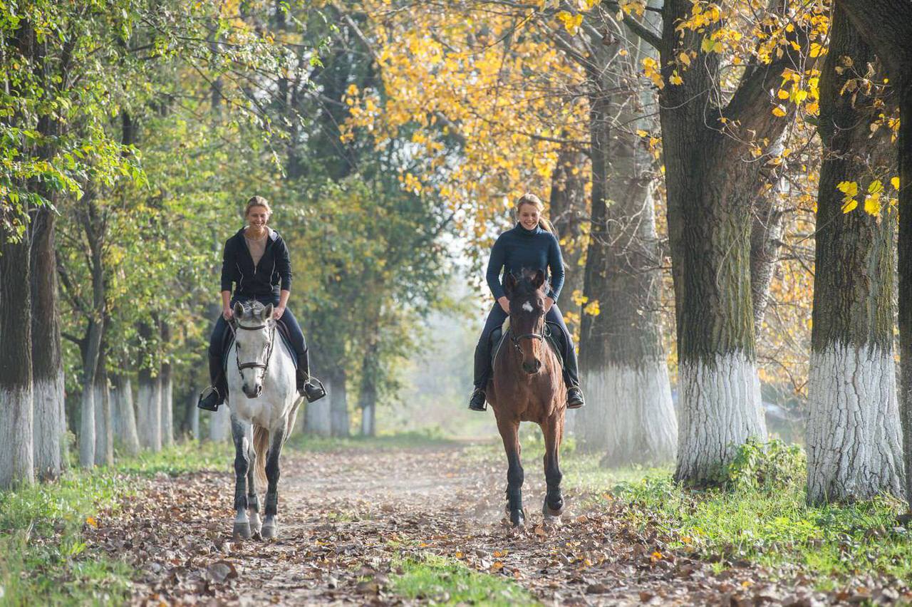 Horseback tour at Tenuta Torciano