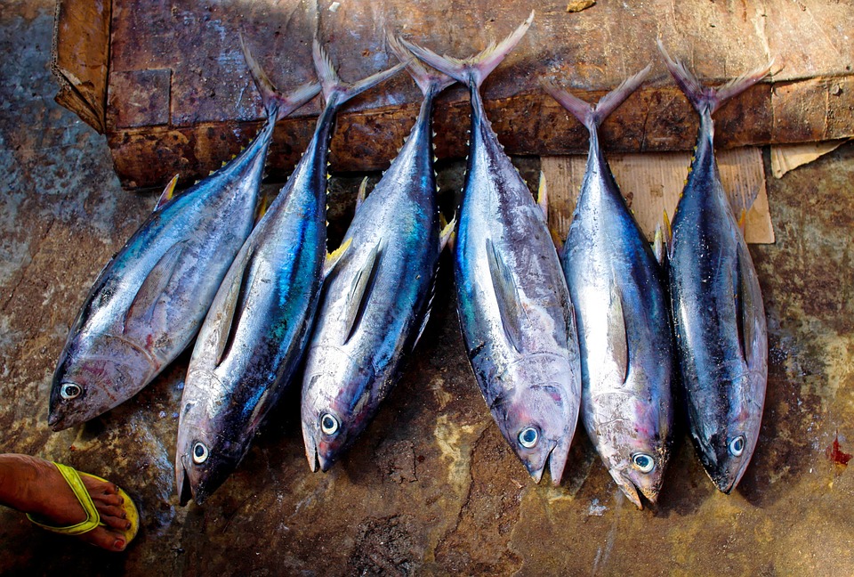 Più pesce, a tavola, per tutti!