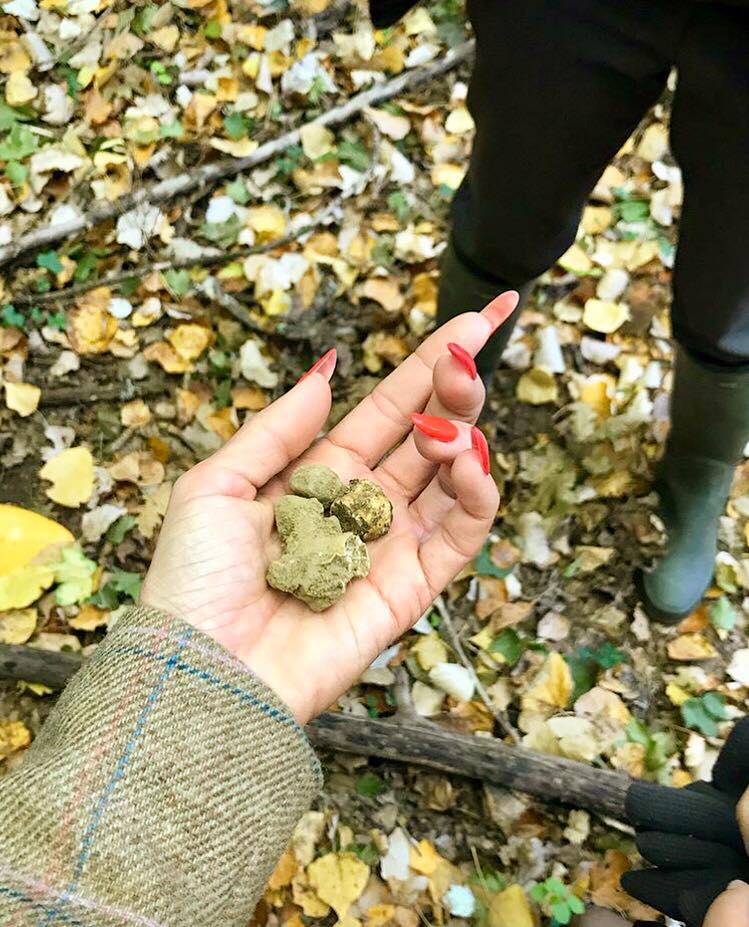 A caccia di tartufo per l&#8217;olio al tartufo