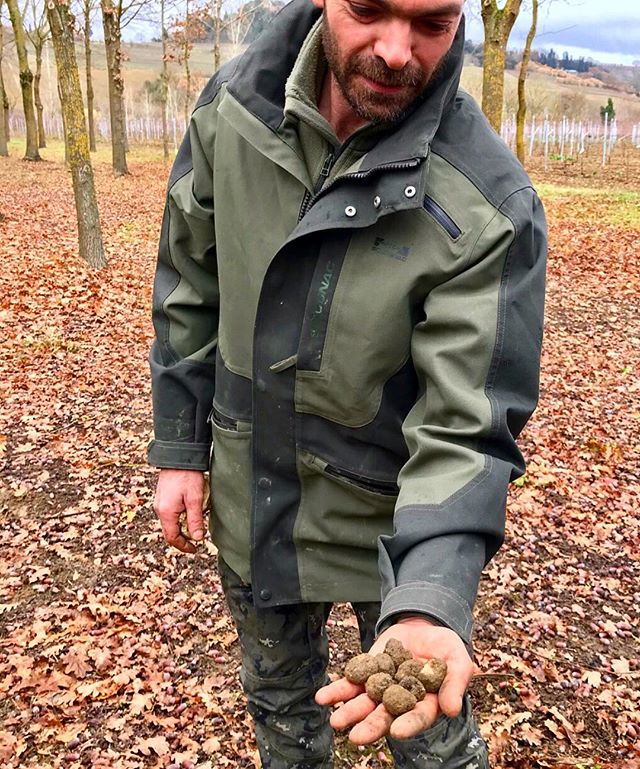 truffle hunting