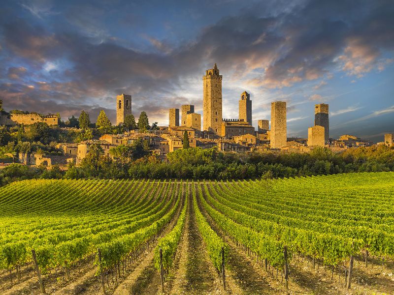 The Vernaccia di San Gimignano D.O.C.G. ed i suoi abbinamenti