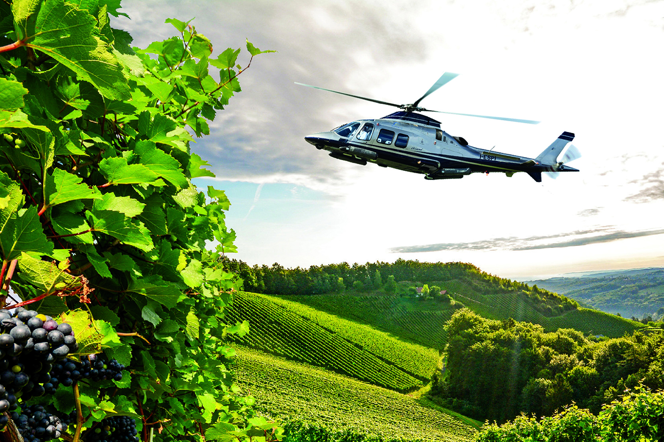Visit Tenuta Torciano Winery by Helicopter!