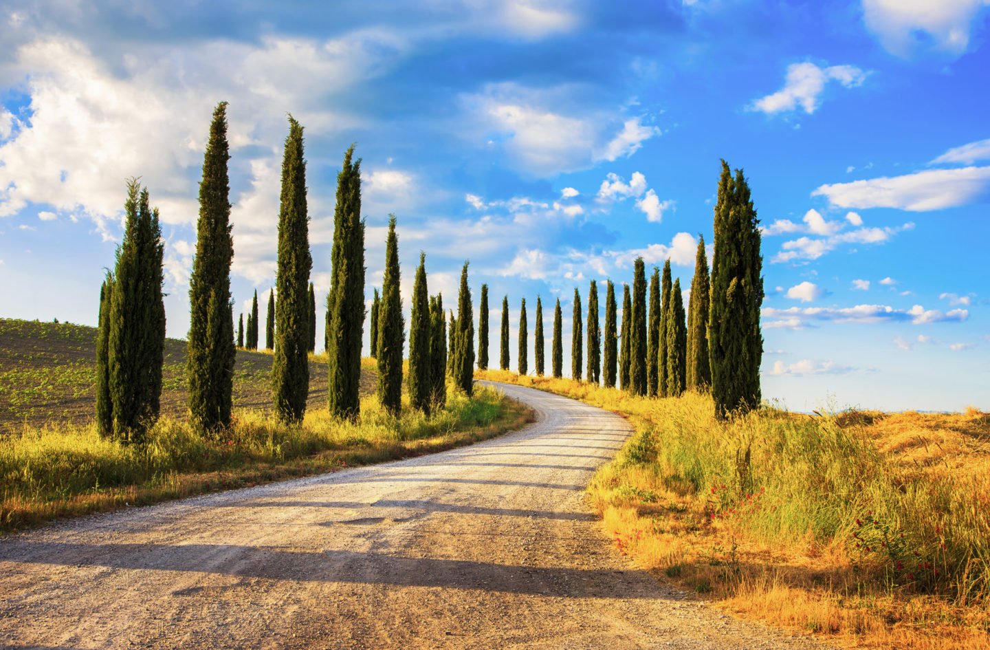 Esplorando le città più belle della Toscana: il weekend perfetto nella cantina Tenuta Torciano