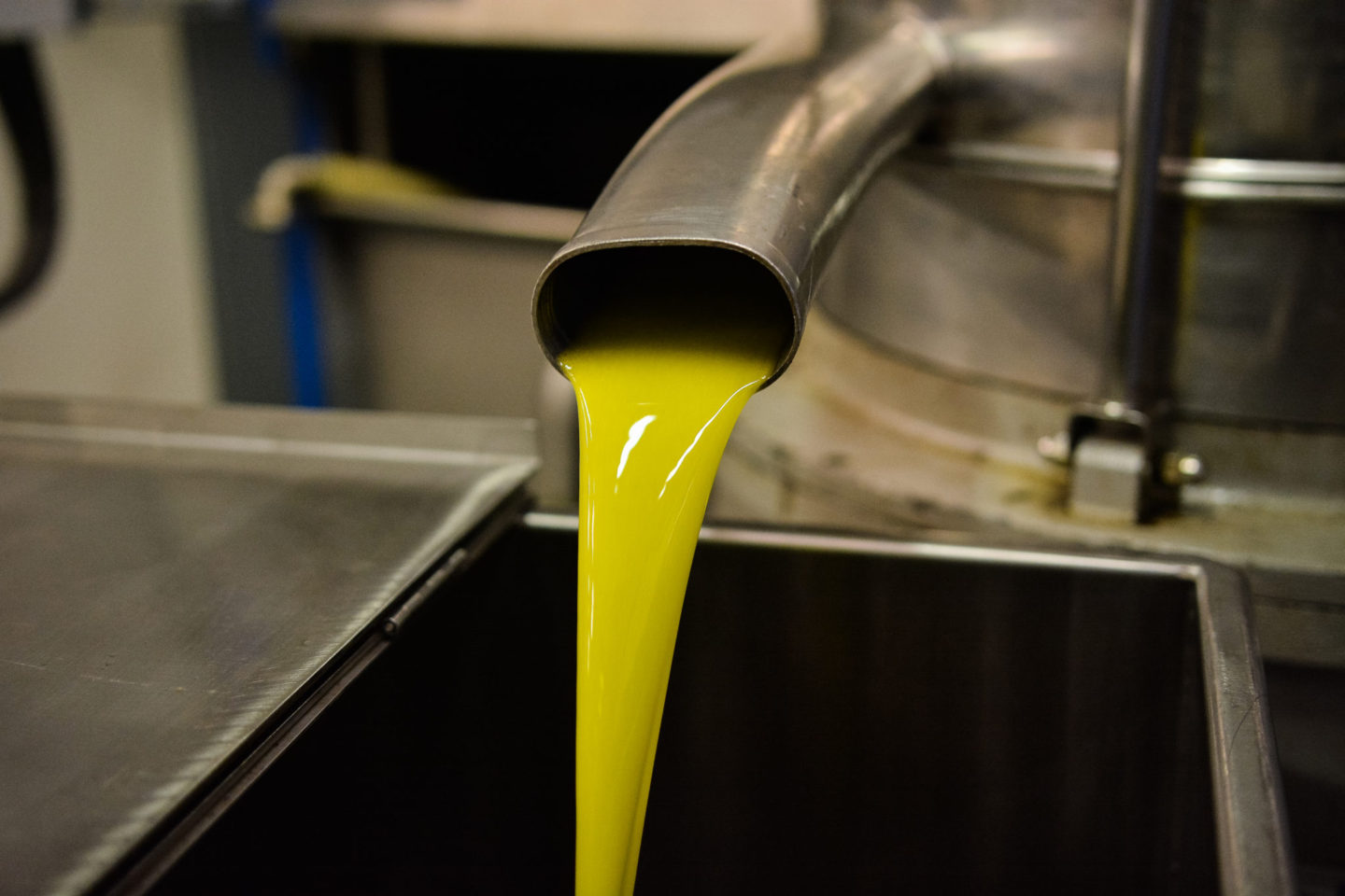 How do you make a good Extra Virgin Olive Oil?