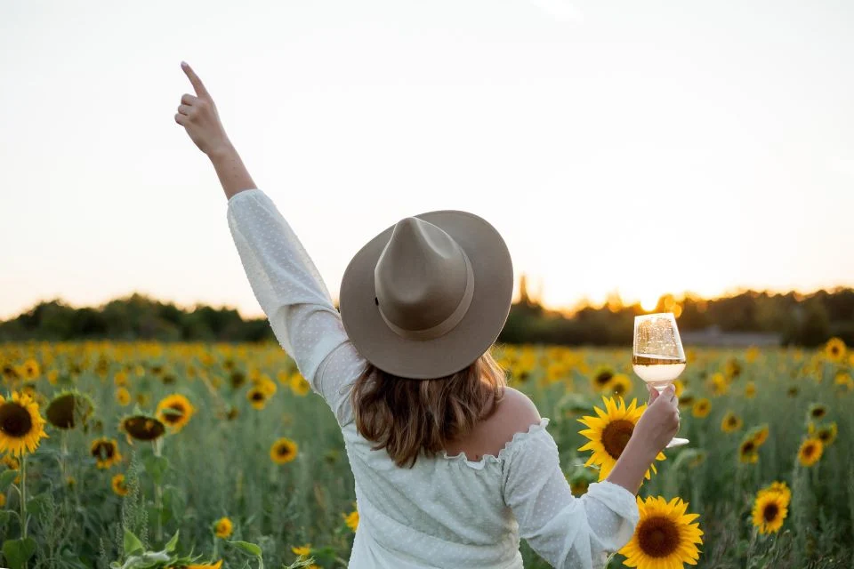 La Stagione dei Girasoli a Tenuta Torciano