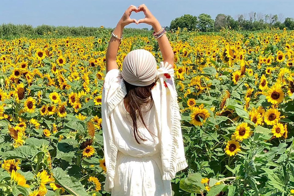 La Stagione dei Girasoli a Tenuta Torciano