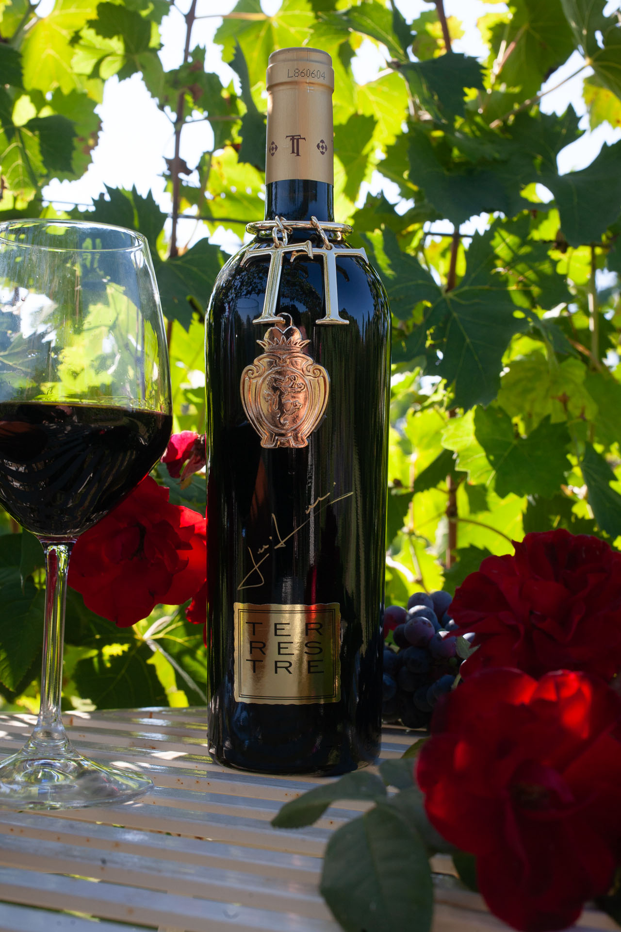 A bottle of Torciano Terrestre red wine and a filled glass among the vines and roses
