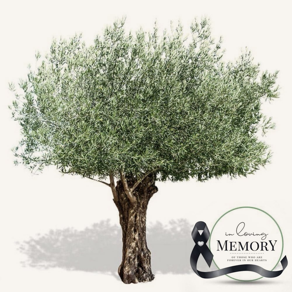 An olive tree in loving memory of those who are forever in our hearts