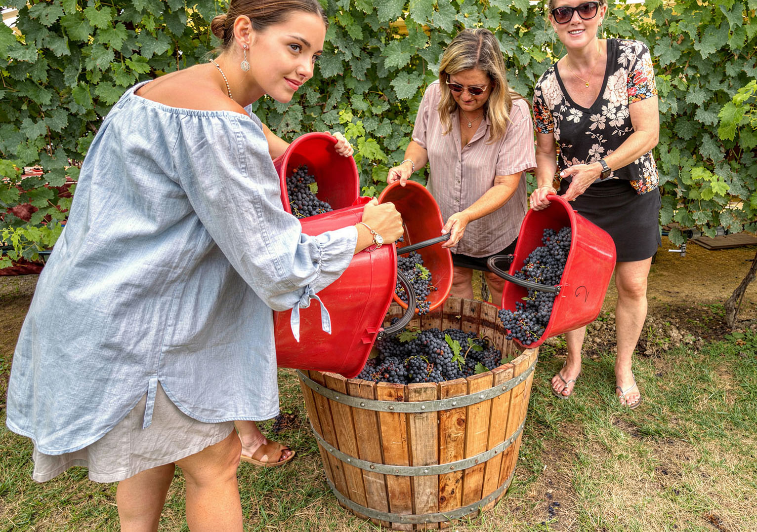 Guests tipping red baskets of grapes into a wooden stomping vat