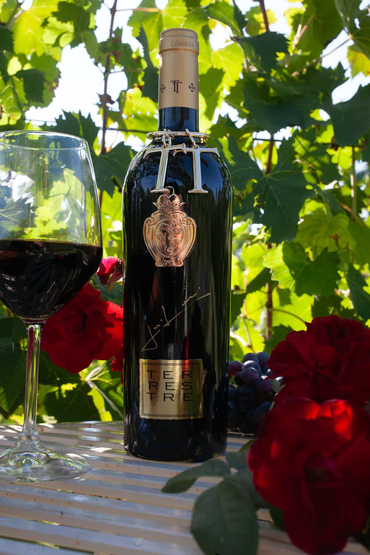 A bottle of Torciano Terrestre red wine and a filled glass among the vines and roses